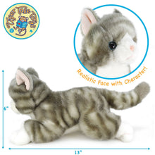 Load image into Gallery viewer, Gavin The Grey Tabby Cat | 13 Inch Stuffed Animal Plush | By TigerHart Toys
