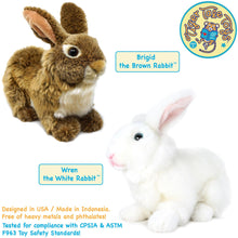 Load image into Gallery viewer, Brigid The Brown Rabbit | 10 Inch Stuffed Animal Plush | By TigerHart Toys
