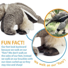 Load image into Gallery viewer, Arsenio The Anteater | 17 Inch Stuffed Animal Plush | By TigerHart Toys
