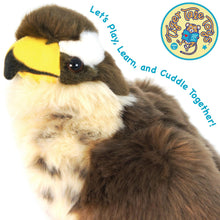 Load image into Gallery viewer, Percival The Peregrine Falcon | 9 Inch Stuffed Animal Plush | By TigerHart Toys
