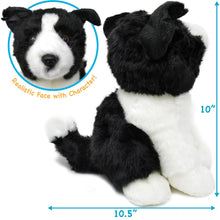 Load image into Gallery viewer, Borna The Border Collie | 11 Inch Stuffed Animal Plush | By TigerHart Toys
