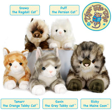 Load image into Gallery viewer, Ricky The Maine Coon | 16 Inch Stuffed Animal Plush | By TigerHart Toys
