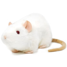 Load image into Gallery viewer, Wylie The White Rat | 7 Inch Stuffed Animal Plush | By TigerHart Toys

