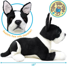 Load image into Gallery viewer, Baxter The Boston Terrier | 13 Inch Stuffed Animal Plush | By TigerHart Toys
