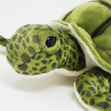 Load image into Gallery viewer, Turquoise The Green Sea Turtle | 10 Inch Stuffed Animal Plush | By TigerHart Toys
